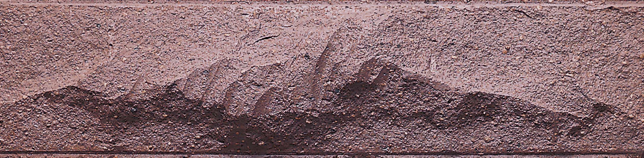 D30180260