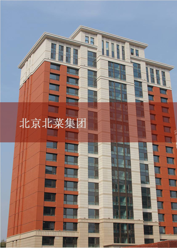 北京北菜集团